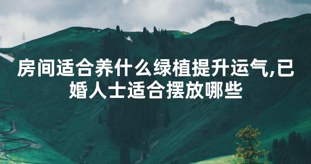 房间适合养什么绿植提升运气,已婚人士适合摆放哪些