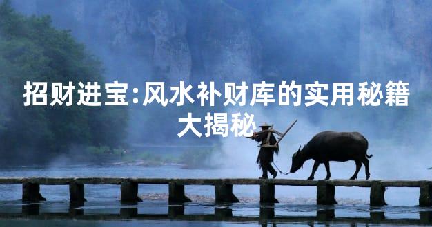 招财进宝:风水补财库的实用秘籍大揭秘