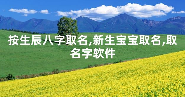 按生辰八字取名,新生宝宝取名,取名字软件