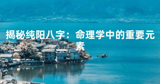 揭秘纯阳八字：命理学中的重要元素