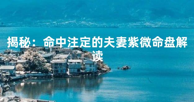 揭秘：命中注定的夫妻紫微命盘解读