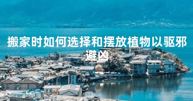 搬家时如何选择和摆放植物以驱邪避凶