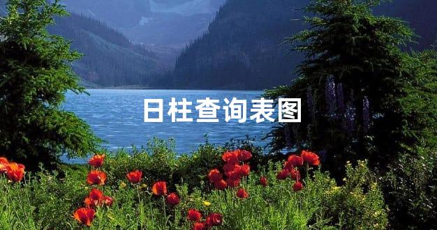 日柱查询表图