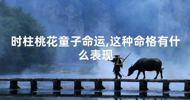时柱桃花童子命运,这种命格有什么表现