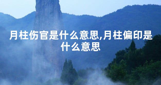 月柱伤官是什么意思,月柱偏印是什么意思