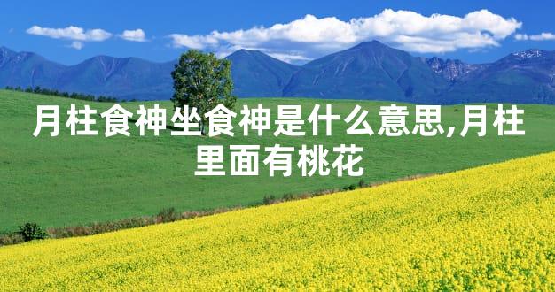 月柱食神坐食神是什么意思,月柱里面有桃花