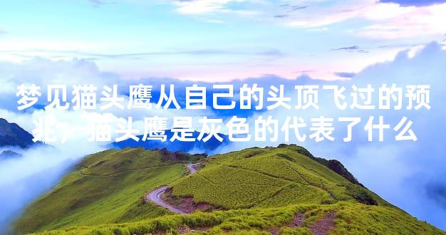 梦见猫头鹰从自己的头顶飞过的预兆，猫头鹰是灰色的代表了什么