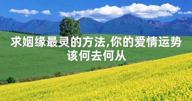求姻缘最灵的方法,你的爱情运势该何去何从