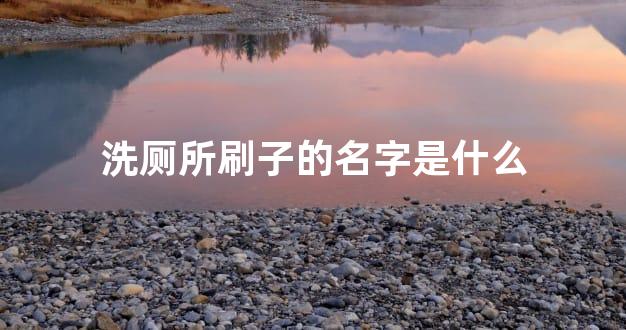 洗厕所刷子的名字是什么