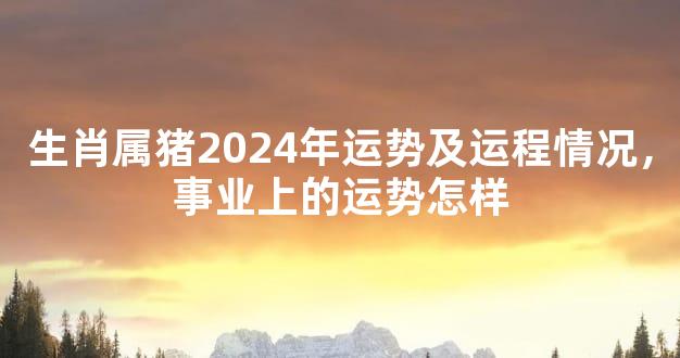 生肖属猪2024年运势及运程情况，事业上的运势怎样