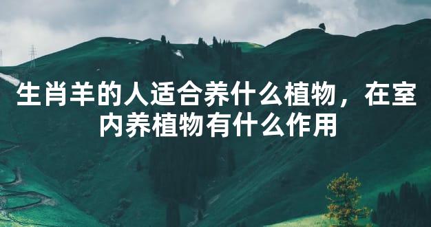 生肖羊的人适合养什么植物，在室内养植物有什么作用