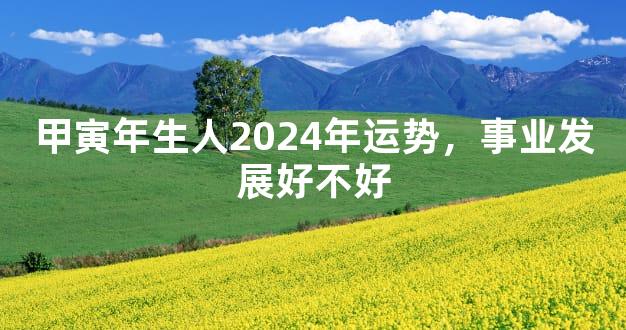 甲寅年生人2024年运势，事业发展好不好