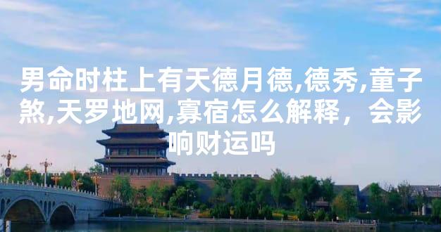男命时柱上有天德月德,德秀,童子煞,天罗地网,寡宿怎么解释，会影响财运吗