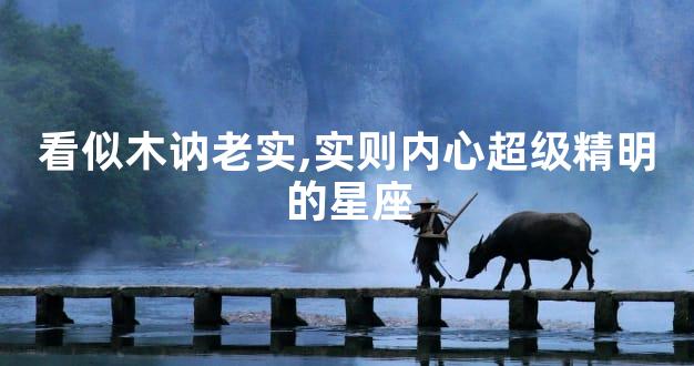 看似木讷老实,实则内心超级精明的星座