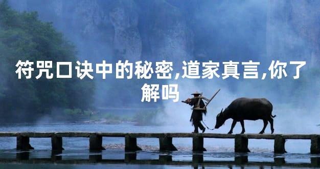 符咒口诀中的秘密,道家真言,你了解吗
