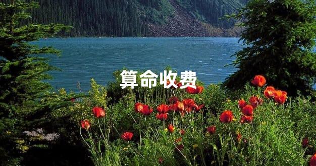 算命收费