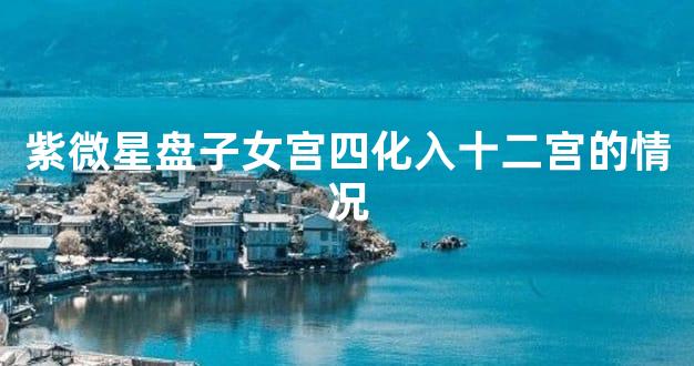 紫微星盘子女宫四化入十二宫的情况