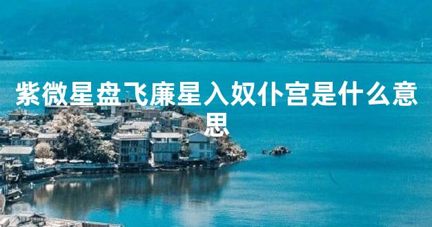 紫微星盘飞廉星入奴仆宫是什么意思