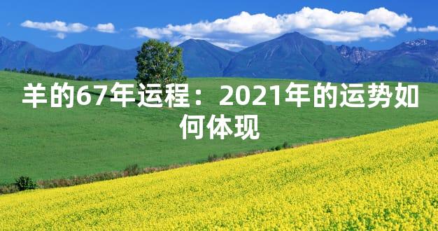 羊的67年运程：2021年的运势如何体现