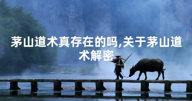 茅山道术真存在的吗,关于茅山道术解密