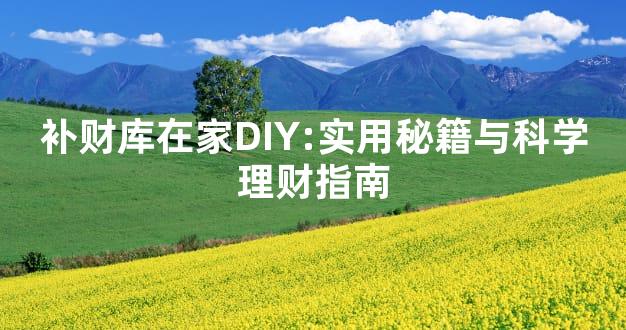 补财库在家DIY:实用秘籍与科学理财指南