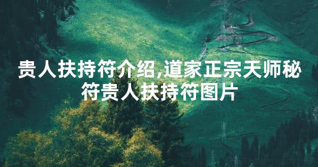 贵人扶持符介绍,道家正宗天师秘符贵人扶持符图片
