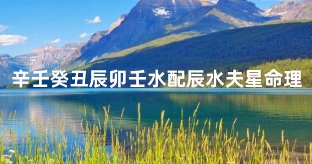 辛壬癸丑辰卯壬水配辰水夫星命理