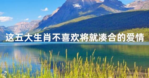 这五大生肖不喜欢将就凑合的爱情