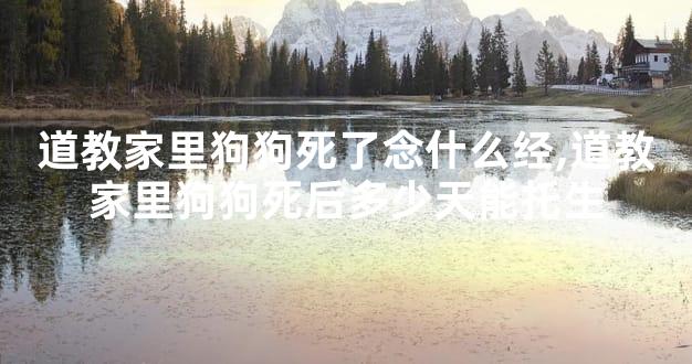 道教家里狗狗死了念什么经,道教家里狗狗死后多少天能托生