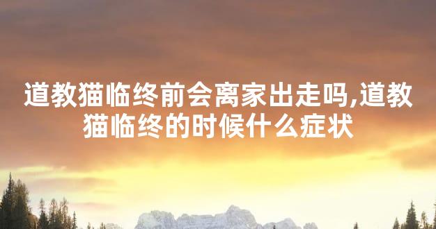 道教猫临终前会离家出走吗,道教猫临终的时候什么症状
