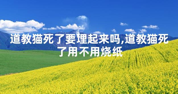 道教猫死了要埋起来吗,道教猫死了用不用烧纸