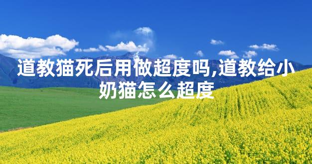 道教猫死后用做超度吗,道教给小奶猫怎么超度