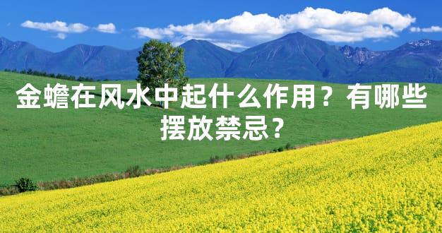 金蟾在风水中起什么作用？有哪些摆放禁忌？