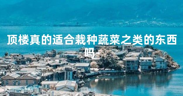 顶楼真的适合栽种蔬菜之类的东西吗-