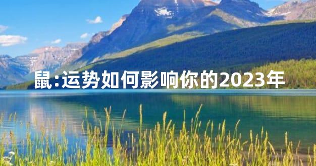 鼠:运势如何影响你的2023年