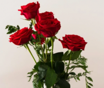 33朵玫瑰代表什么呢 33朵玫瑰代表的六个含义
