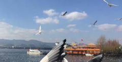 什么是寻龙点穴 怎么进行寻龙点穴
